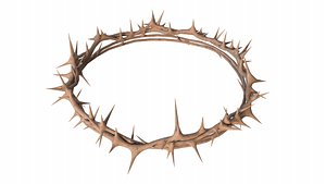 3D Wooden Crown of Thorns PBR model