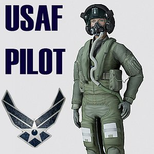 US Air Force F35AA1 Pilot MAX 9 Rigged
