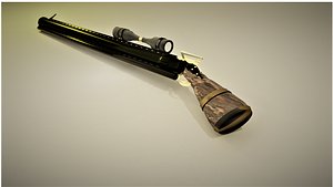 rifle model