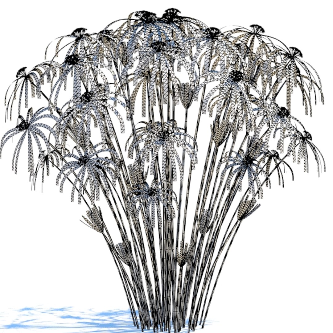 cyperus alternifolius plant 3d model https://p.turbosquid.com/ts-thumb/7p/qeTJIO/iYuF7YDo/cyal_pic5/jpg/1366934517/1920x1080/fit_q87/be3d3f28b08506496884f7ab250feaee59e9b239/cyal_pic5.jpg
