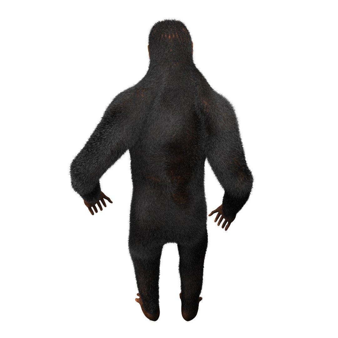 3d Obj Chimpanzee Rigged Fur