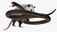 Opossum Hunts Snake Fur 3D model