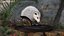 Opossum Hunts Snake Fur 3D model