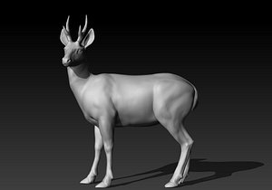 deer huemul 3D