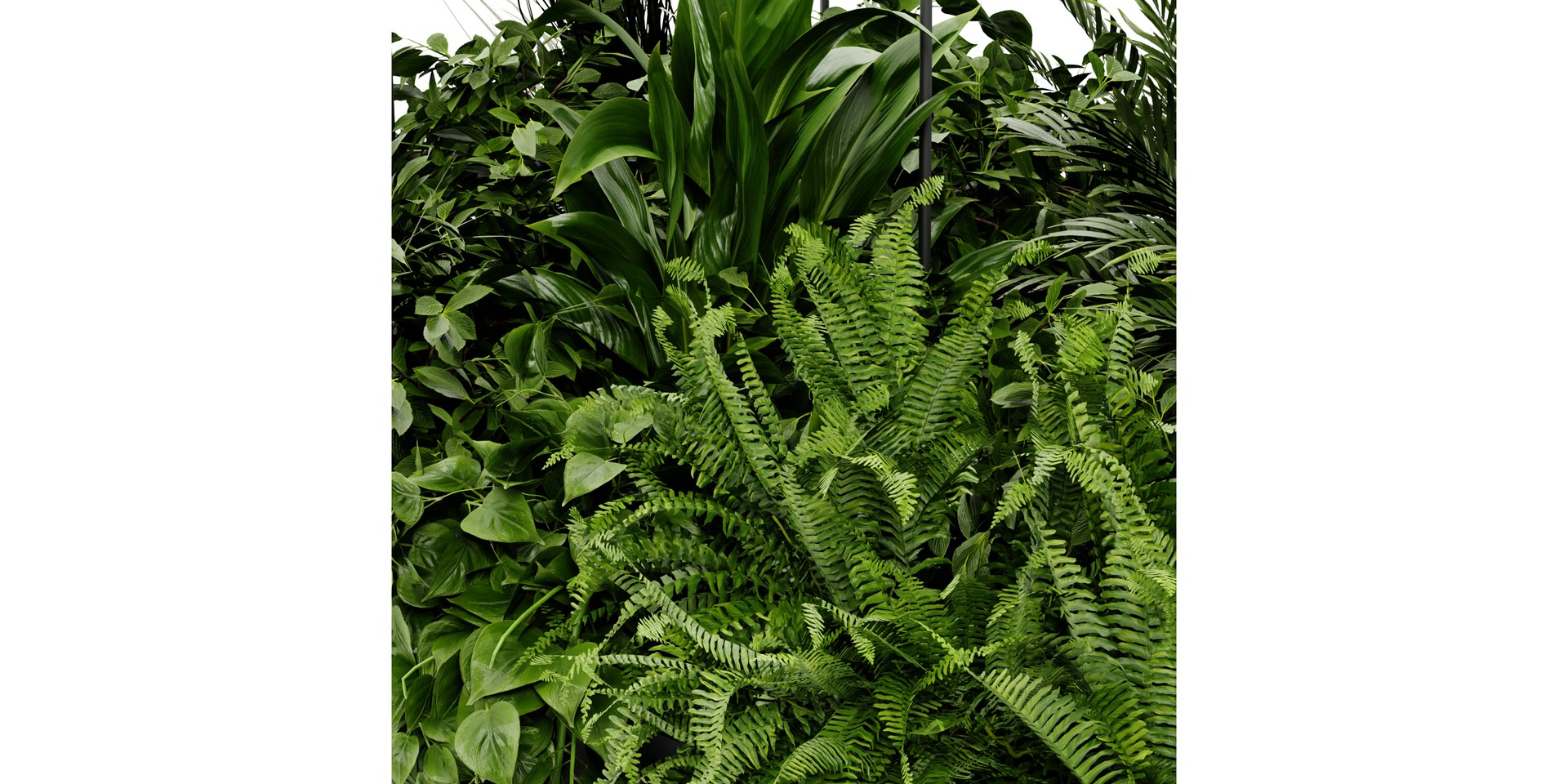 3D model Collection plant vol 411 - blender model https://p.turbosquid.com/ts-thumb/7q/VGiQNp/70/4/jpg/1689258211/1920x1080/fit_q87/bf95c232c473aee94772ba4958858fff507fea7d/4.jpg