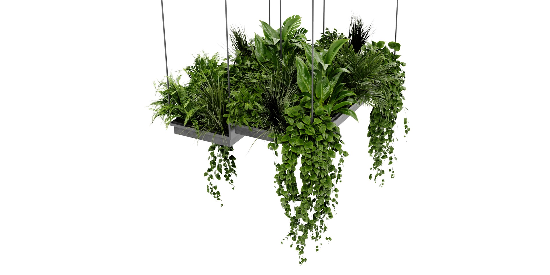 3D model Collection plant vol 411 - blender model https://p.turbosquid.com/ts-thumb/7q/VGiQNp/KG/2/jpg/1689258210/1920x1080/fit_q87/8f36a0acc486e24568f06d1661c03814236b7f38/2.jpg
