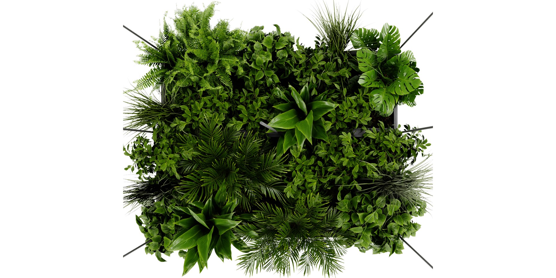 3D model Collection plant vol 411 - blender model https://p.turbosquid.com/ts-thumb/7q/VGiQNp/L0/5/jpg/1689258212/1920x1080/fit_q87/ad999b6498d0947d4f0167c75fb4193b53dc6870/5.jpg