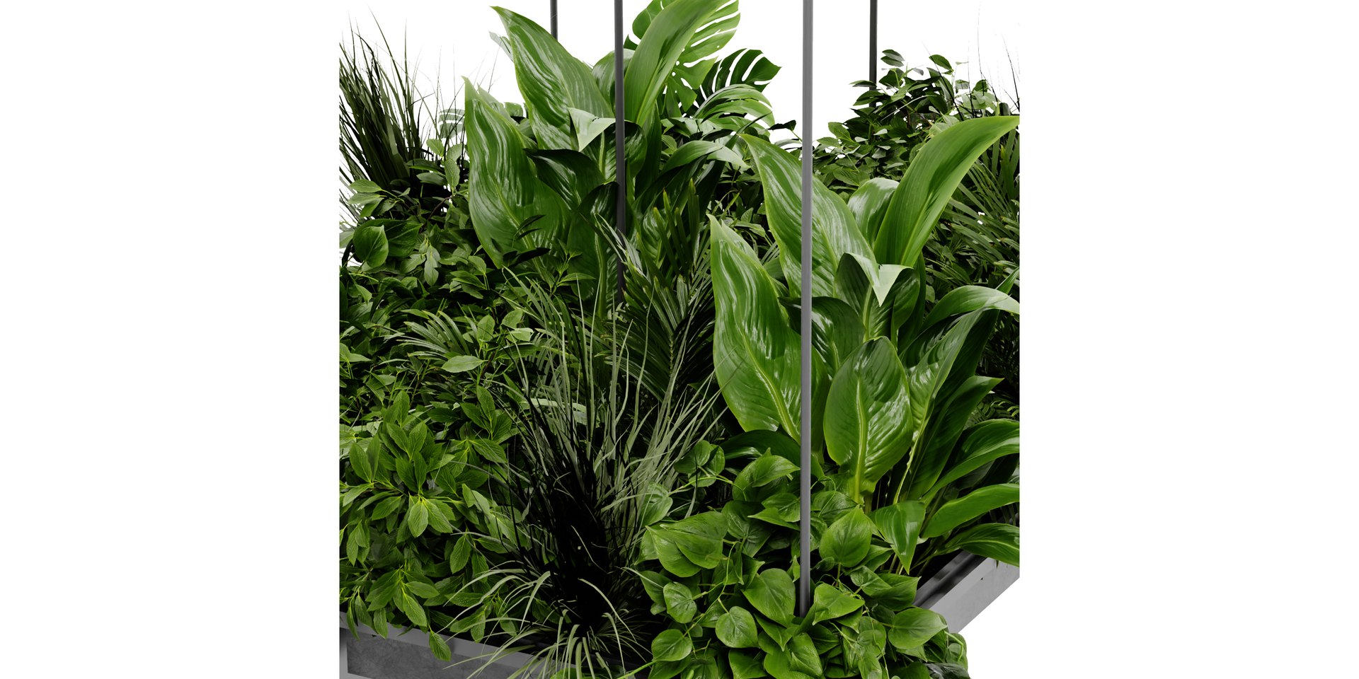3D model Collection plant vol 411 - blender model https://p.turbosquid.com/ts-thumb/7q/VGiQNp/PX/3/jpg/1689258211/1920x1080/fit_q87/801d23b11459305866a1dd3ea85b5d027972d02b/3.jpg