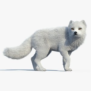 Arctic Fox(FUR)(RIGGED)