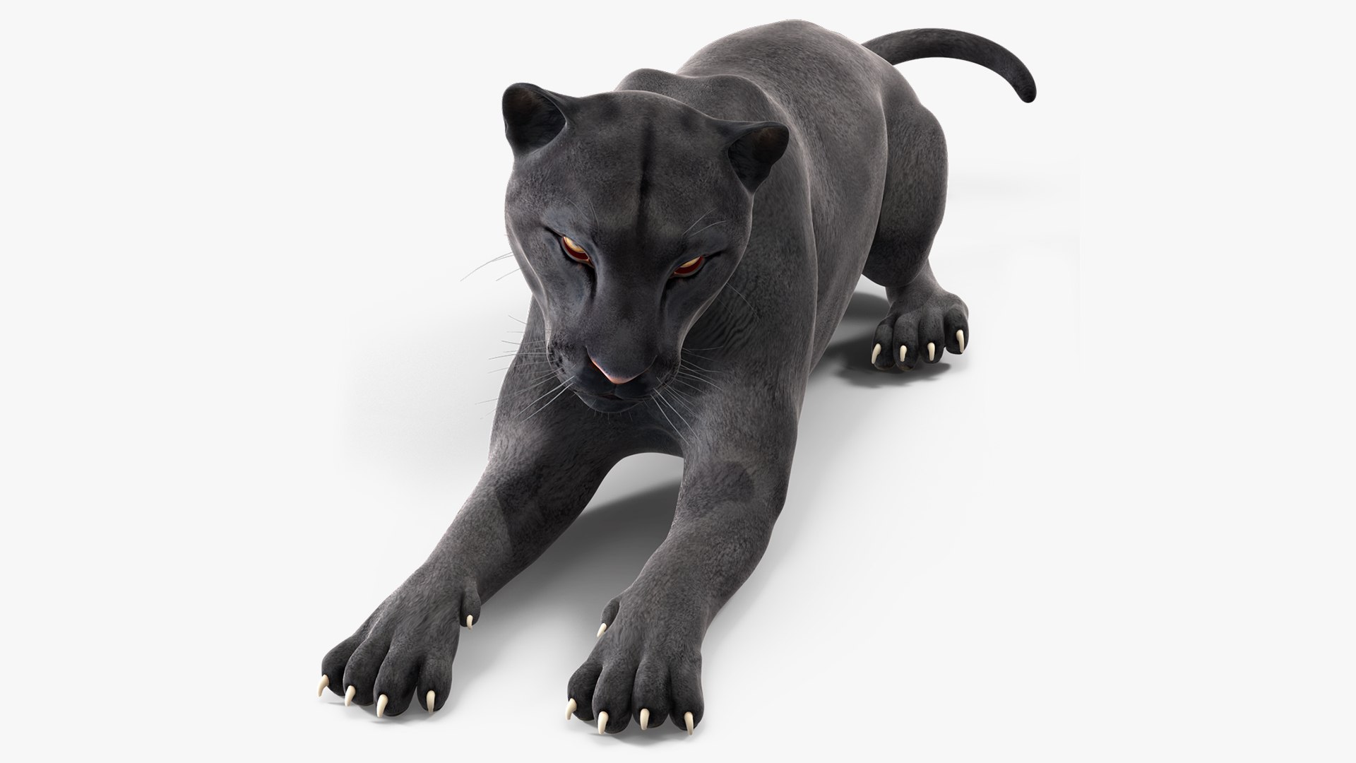Black Panther Lying Down 3D model preview