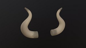 Bull Horn 3D model