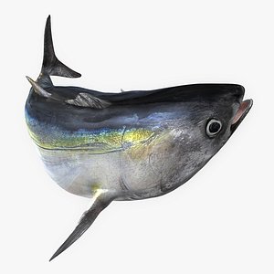 TUNA FISH Rigged L1560