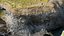 Basalt Coast Cliff Formation - 3D PBR Model1