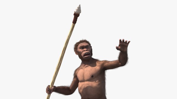 modelo 3d Homo Habilis con piel de lanza - TurboSquid 2175152