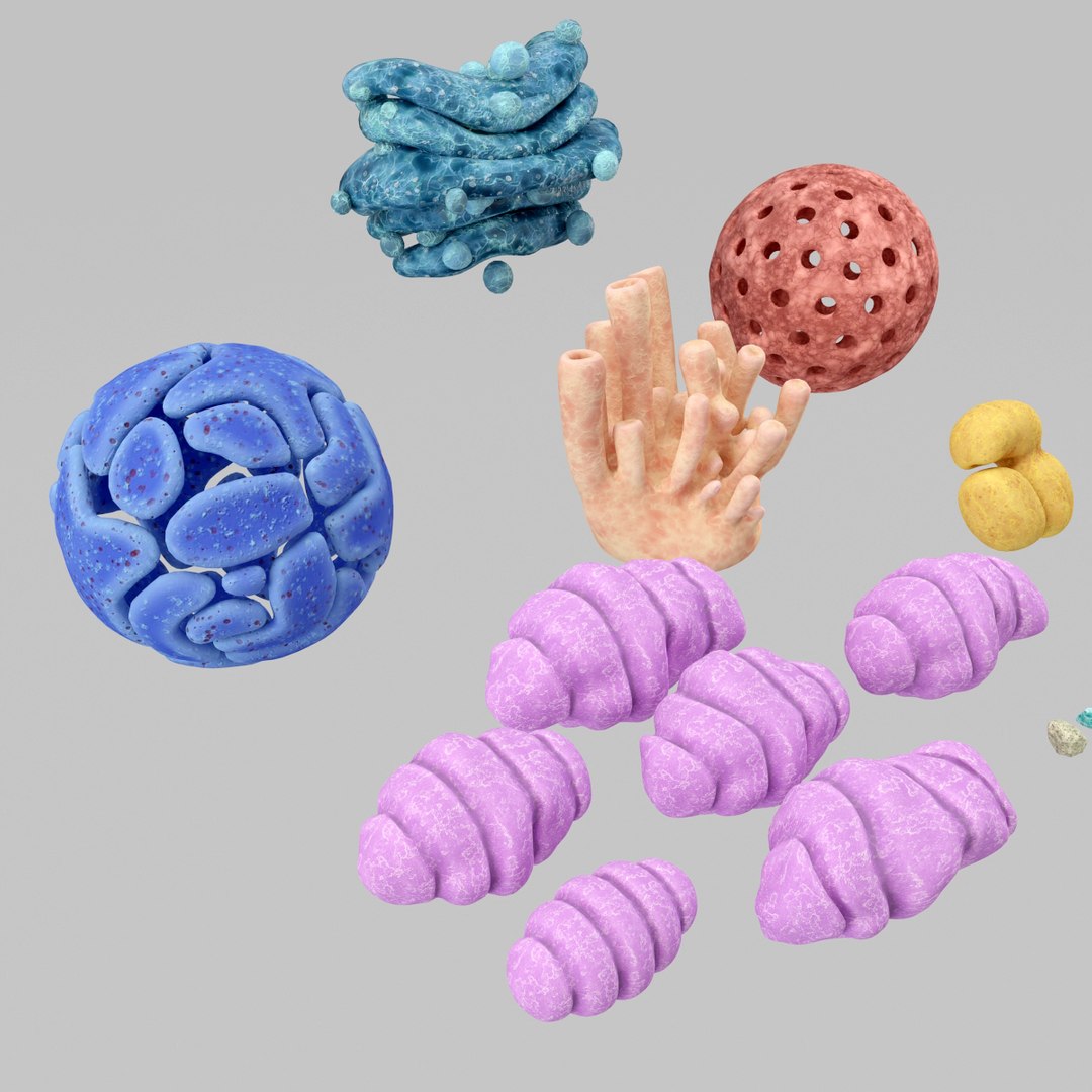 3d model cell https://p.turbosquid.com/ts-thumb/7s/WUbFiS/13XtIm4u/r5/jpg/1443340719/1920x1080/fit_q87/f070890e3d5b26b2f4e832974373412619217640/r5.jpg