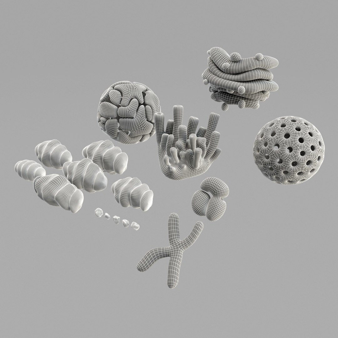 3d model cell https://p.turbosquid.com/ts-thumb/7s/WUbFiS/hLYf6PXK/r9/jpg/1443340739/1920x1080/fit_q87/465aaa78ca70df2c49cf610e18dc425edb2331f5/r9.jpg