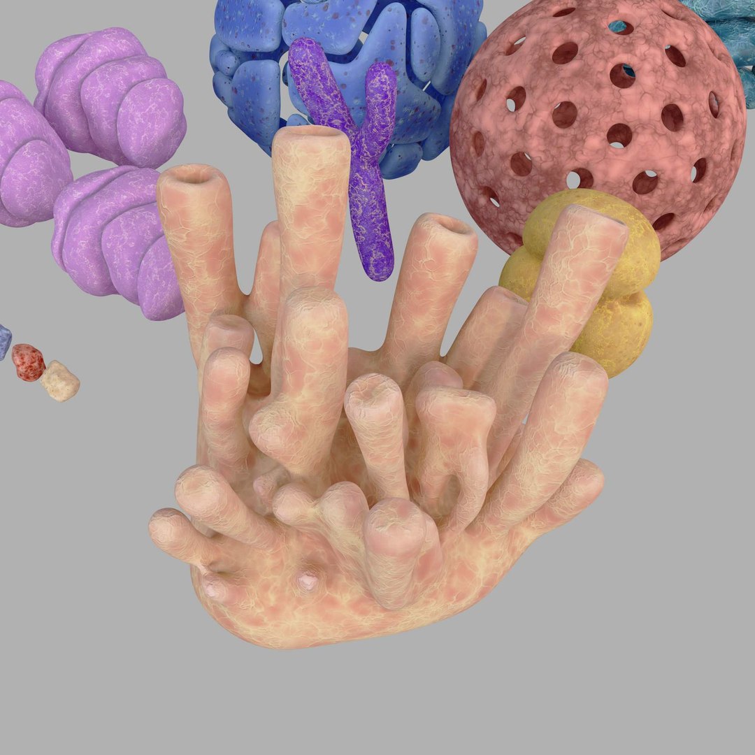 3d model cell https://p.turbosquid.com/ts-thumb/7s/WUbFiS/rd/r20000/jpg/1642430362/1920x1080/fit_q87/f5d58abe877d81544728e3563646f99a918f0eb2/r20000.jpg