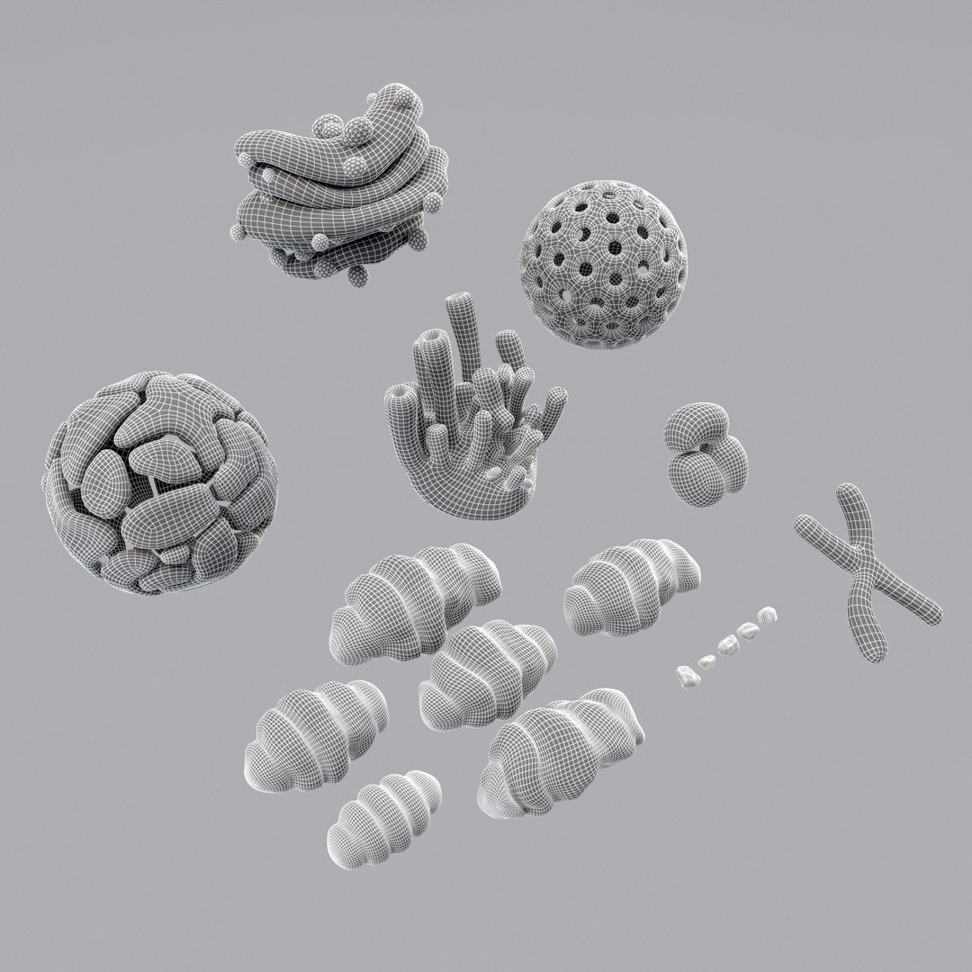 3d model cell https://p.turbosquid.com/ts-thumb/7s/WUbFiS/wFo6V6kS/r8/jpg/1443340739/1920x1080/fit_q87/51d1ad5f9a4671626a43bf7fb2b62c365d7448fd/r8.jpg