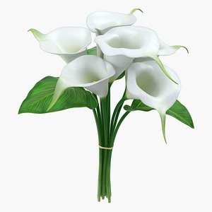 bouquet calla lilies 3D model