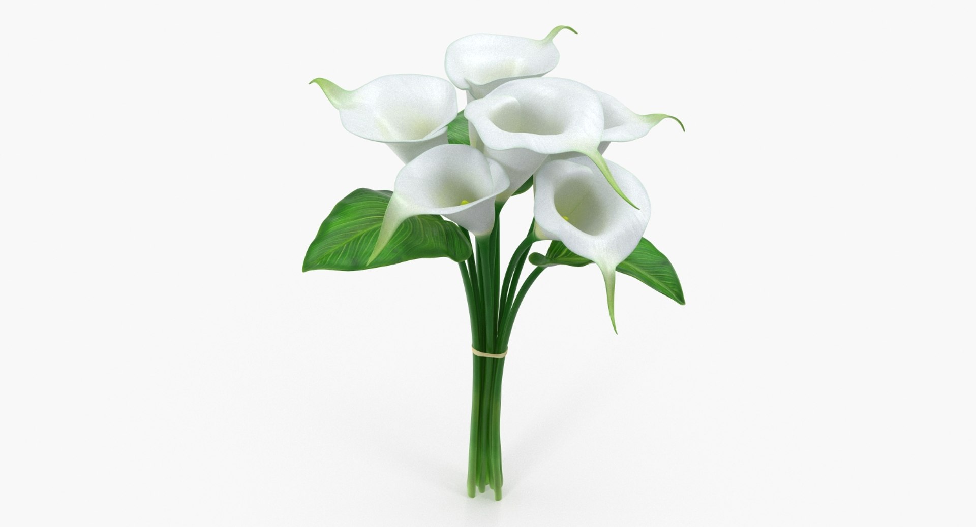 Bouquet Calla Lilies 3D model preview
