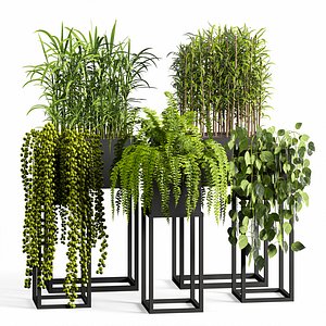 indoor Plant Set 05
