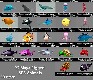 Sea Animals