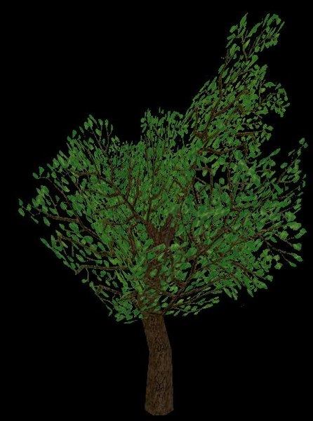 3d tree