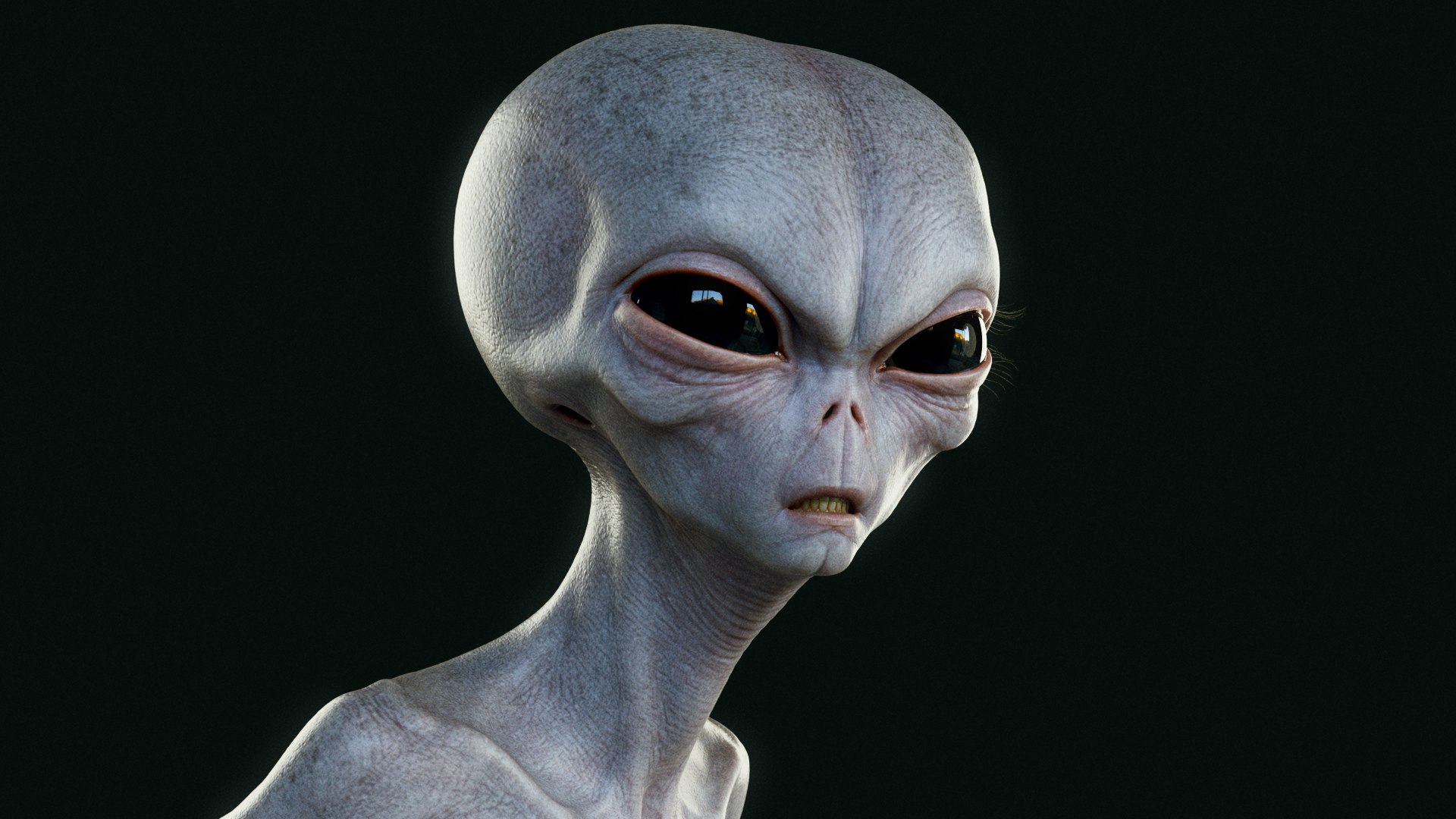 3D Humanoid Grey Alien - Rigged - TurboSquid 2151039