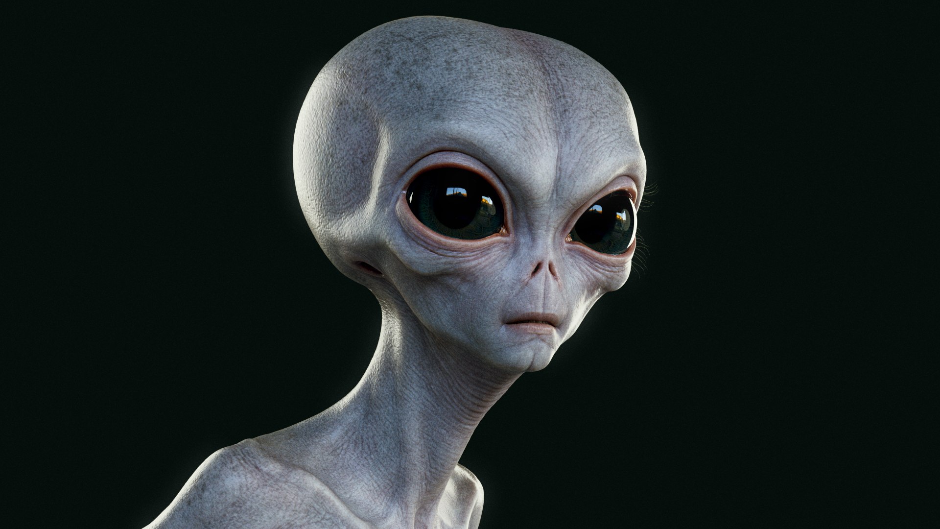 3D Humanoid Grey Alien - Rigged https://p.turbosquid.com/ts-thumb/7t/4auMAv/AZ/expressions_neutral/png/1699842744/1920x1080/fit_q87/25991ce20d06f182aec0875530c2a3afce189200/expressions_neutral.jpg