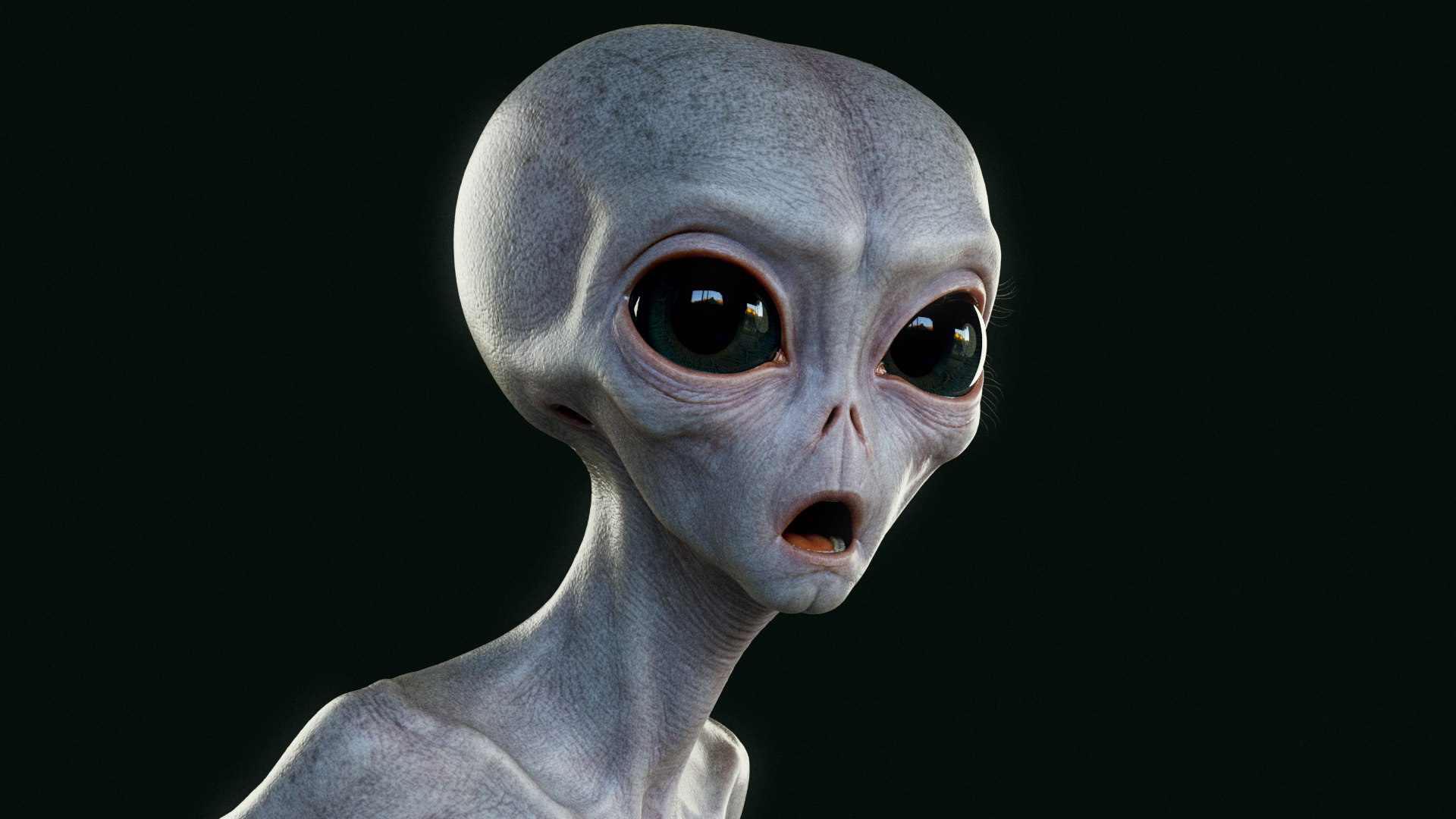 3D Humanoid Grey Alien - Rigged https://p.turbosquid.com/ts-thumb/7t/4auMAv/Mw/expressions_surprised/png/1699842744/1920x1080/fit_q87/0df7e229ab04856b8c9bf020768abf9cd648a777/expressions_surprised.jpg
