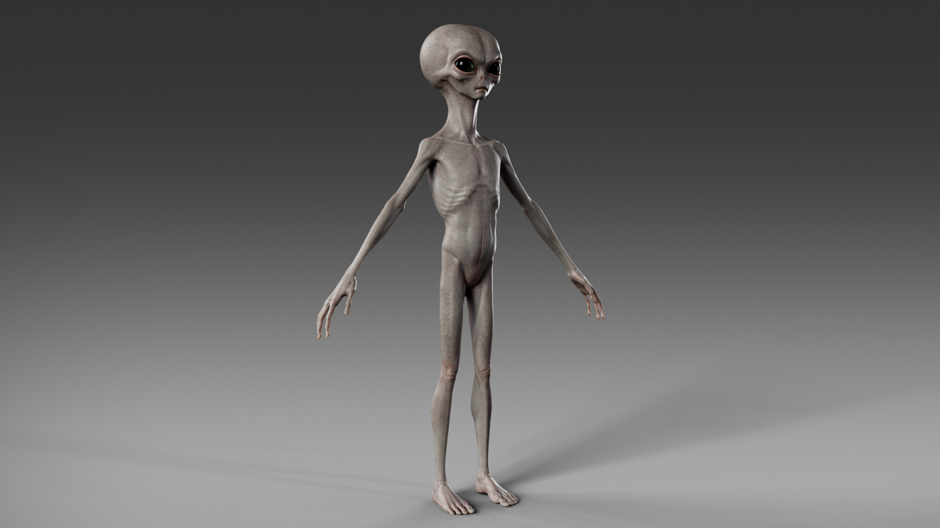 3D Humanoid Grey Alien - Rigged https://p.turbosquid.com/ts-thumb/7t/4auMAv/mJ/turntable/png/1699818005/1920x1080/turn_fit_q99/3dabd35391019ab8c7695e8d8c76b1b24cfdce8c/turntable-1.jpg
