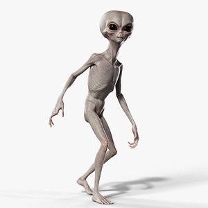Humanoid Grey Alien - Rigged