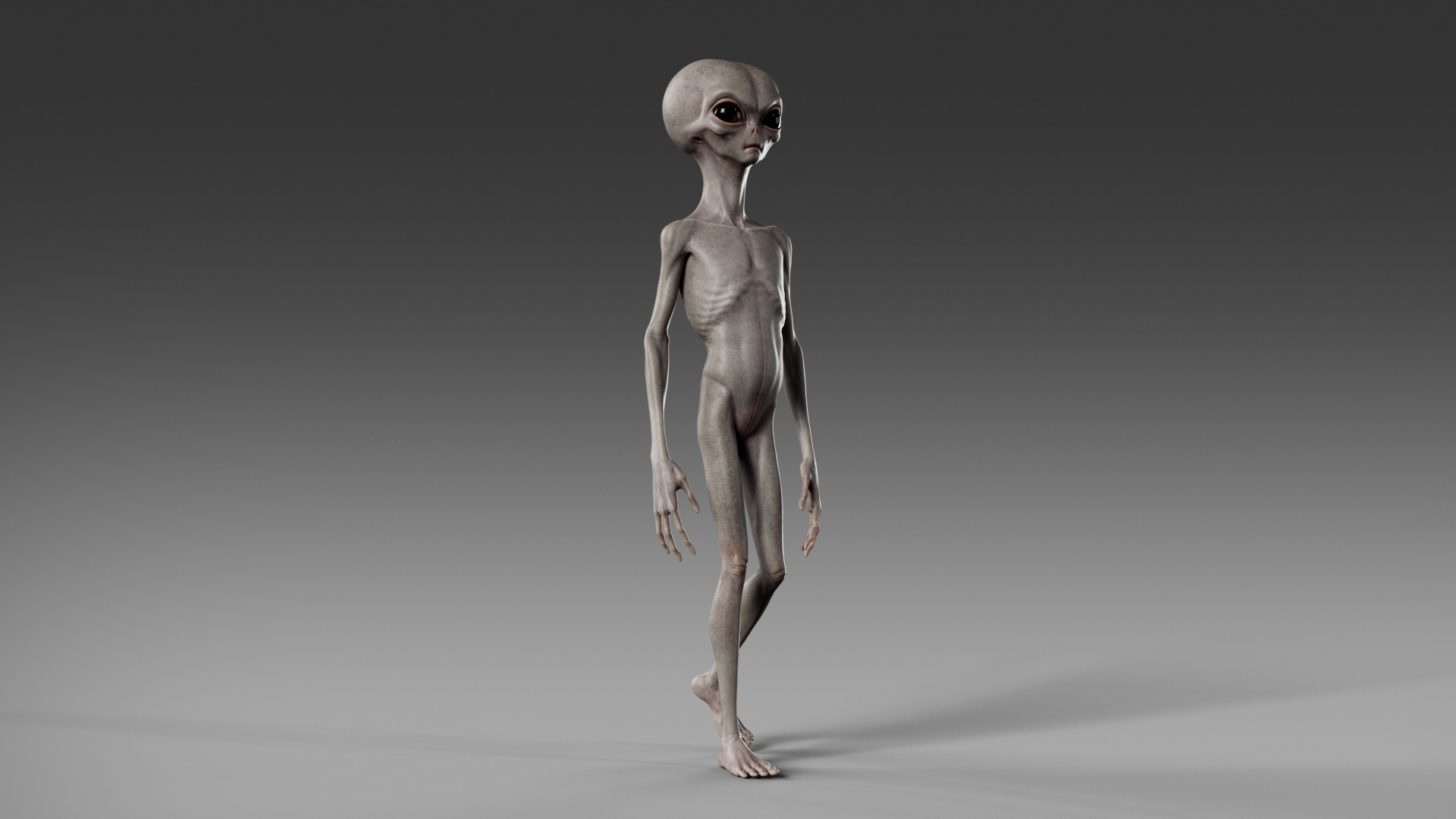 3D Humanoid Grey Alien - Rigged https://p.turbosquid.com/ts-thumb/7t/4auMAv/x6/walkcycle/png/1699813898/1920x1080/turn_fit_q99/41625d014ff5fde6d9d3c3c90868a87a29f81423/walkcycle-1.jpg