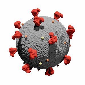 corona virus 3D model