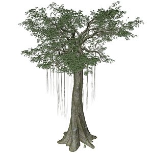 Kapok Tree - 01 - 3D model