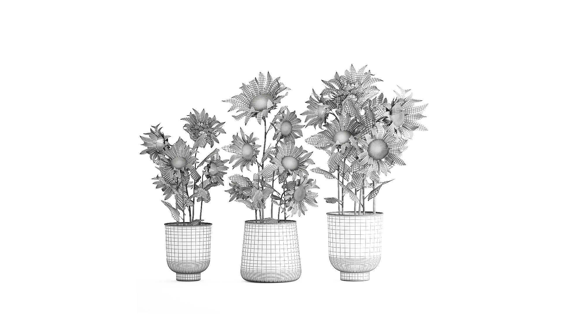 3D Sunflowers in a  flowerpot for the interior 1020 https://p.turbosquid.com/ts-thumb/7t/oxkE0b/O5/1sunflower2007202109/jpg/1626871461/1920x1080/fit_q87/aab64a327ddfaa39d59b1dc38e560889a3107624/1sunflower2007202109.jpg