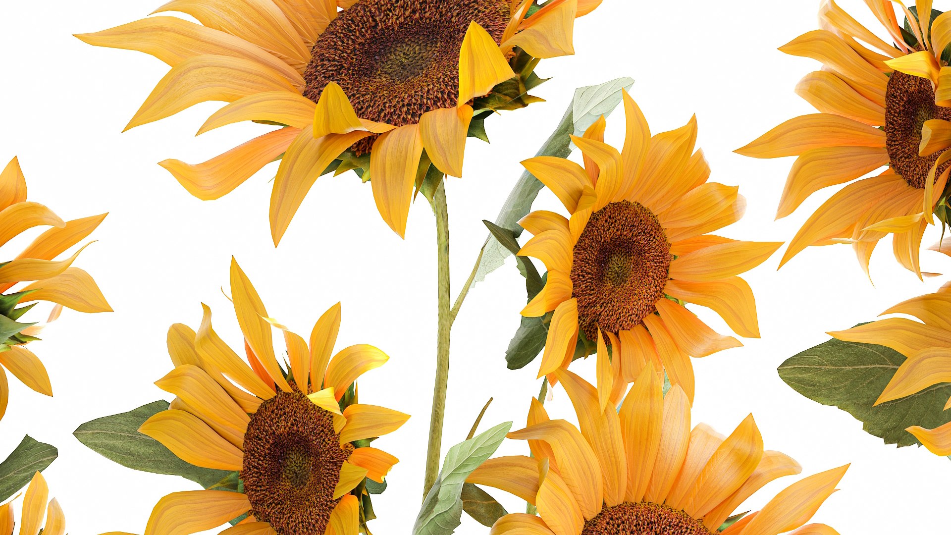 3D Sunflowers in a  flowerpot for the interior 1020 https://p.turbosquid.com/ts-thumb/7t/oxkE0b/SU/1sunflower2007202107/jpg/1626871469/1920x1080/fit_q87/82c5e38a2c16bed34f8f2d001e98e61e48d25725/1sunflower2007202107.jpg