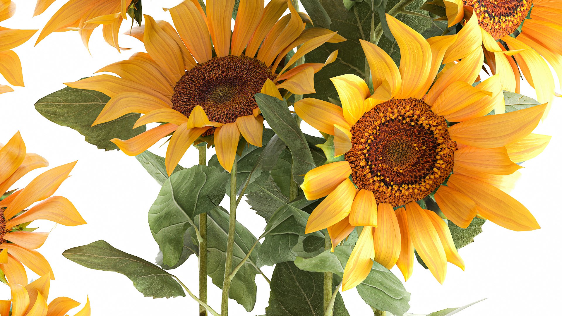 3D Sunflowers in a  flowerpot for the interior 1020 https://p.turbosquid.com/ts-thumb/7t/oxkE0b/zQ/1sunflower2007202106/jpg/1626871470/1920x1080/fit_q87/cb25259c9deb397f5077ec9aaf2290cb6883f13c/1sunflower2007202106.jpg