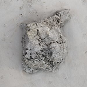 Rock 3D Scan 15
