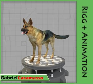 German Shepherd