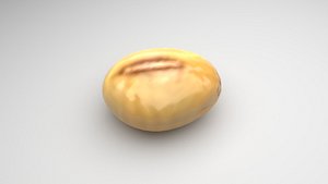 3D model Soybean