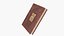 Old Book 01 Rigged and Animated