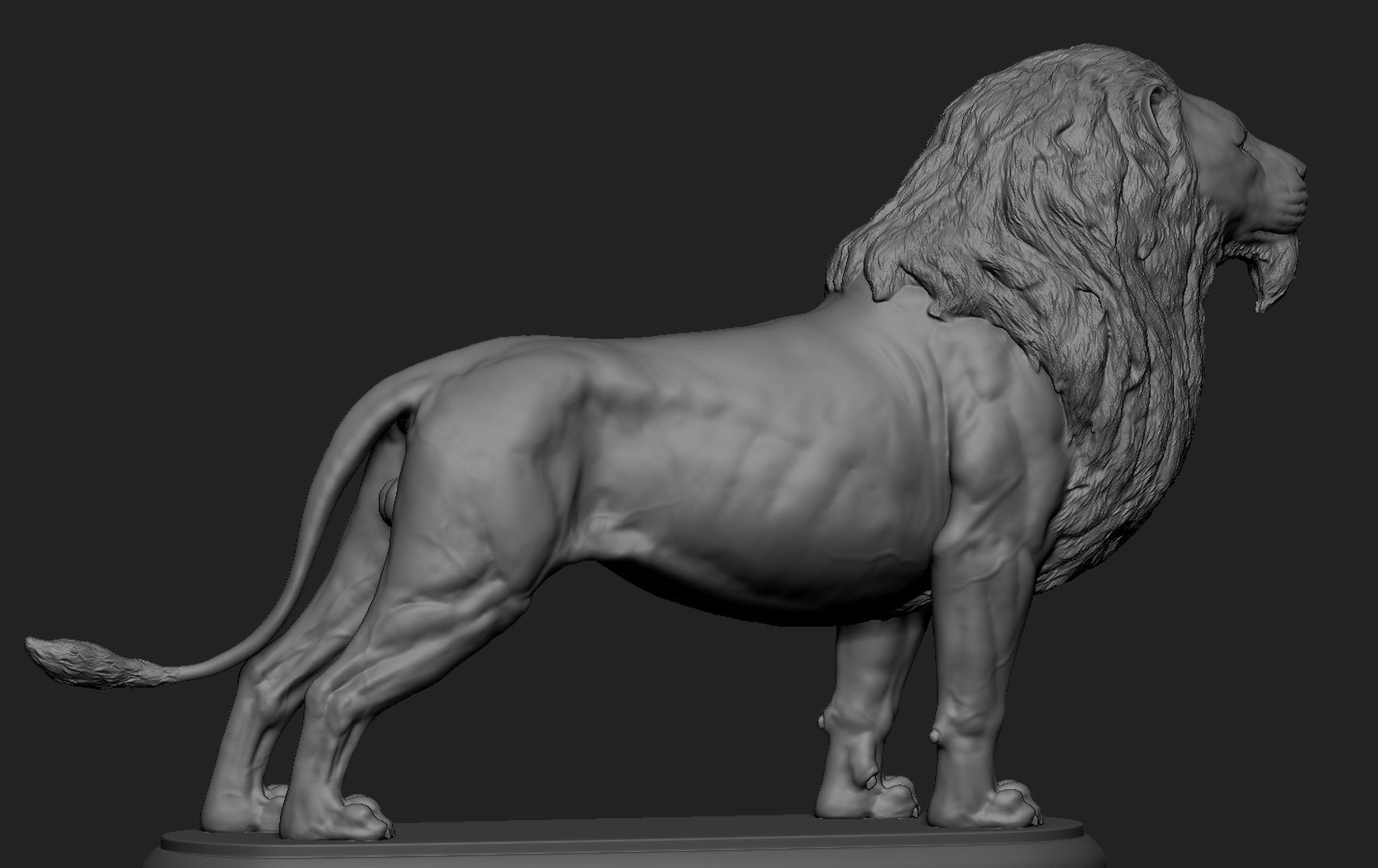 Lion Model - TurboSquid 2236204