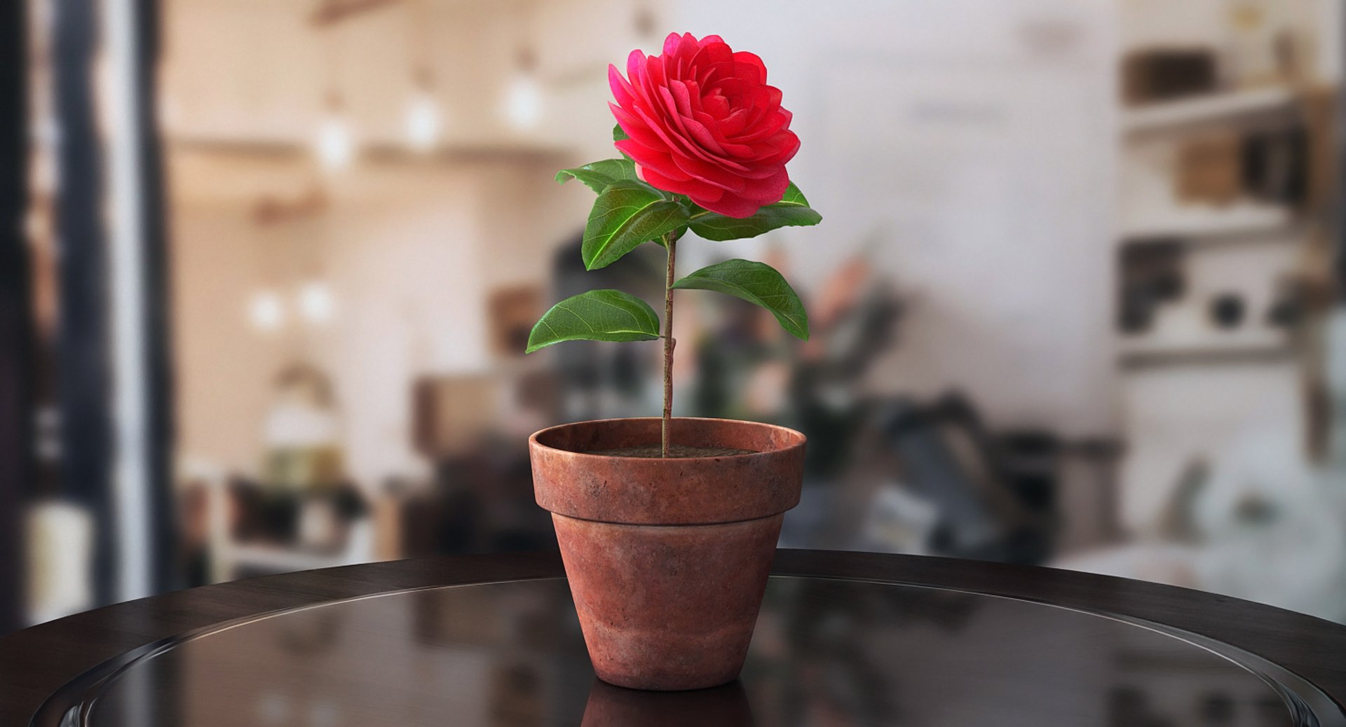Flower Camelia in Pot 3D model preview