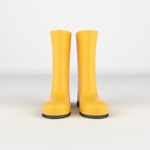 Wellington Boots