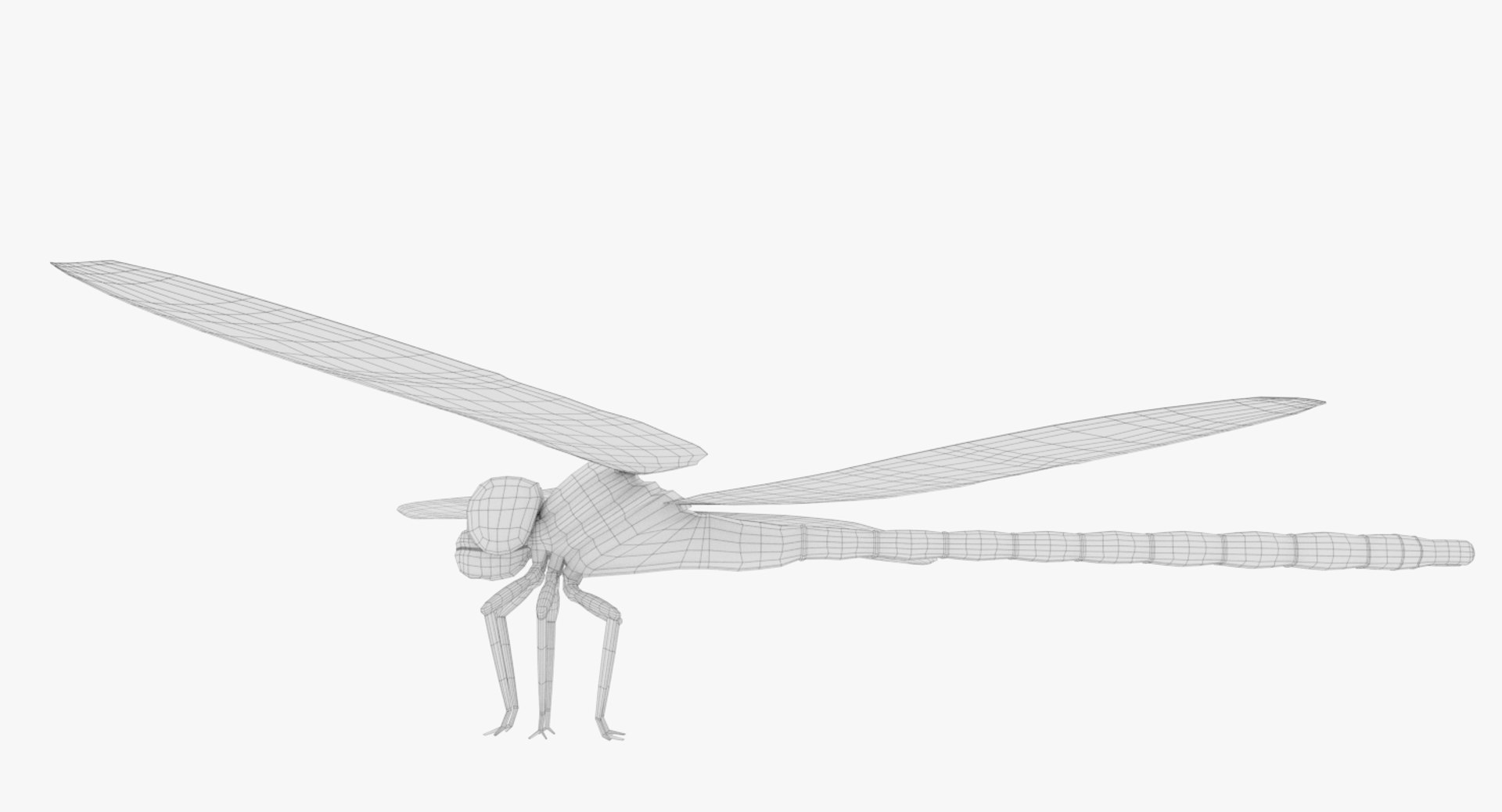 Dragonfly 3D model - TurboSquid 1408457
