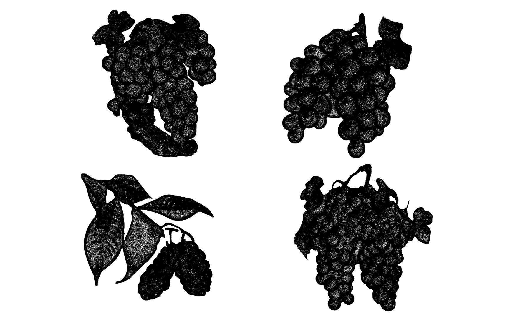 Magical Fruits 3D model https://p.turbosquid.com/ts-thumb/7u/kjqIFP/0H/64/jpg/1690880650/1920x1080/fit_q87/82cab9f98ec6a1617b60fef4a91abb2712cc7486/64.jpg