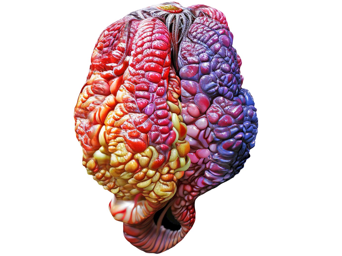 Magical Fruits 3D model https://p.turbosquid.com/ts-thumb/7u/kjqIFP/4G/85/jpg/1690880868/1920x1080/fit_q87/025ca835e262624f7354646f83d136d5589e0009/85.jpg