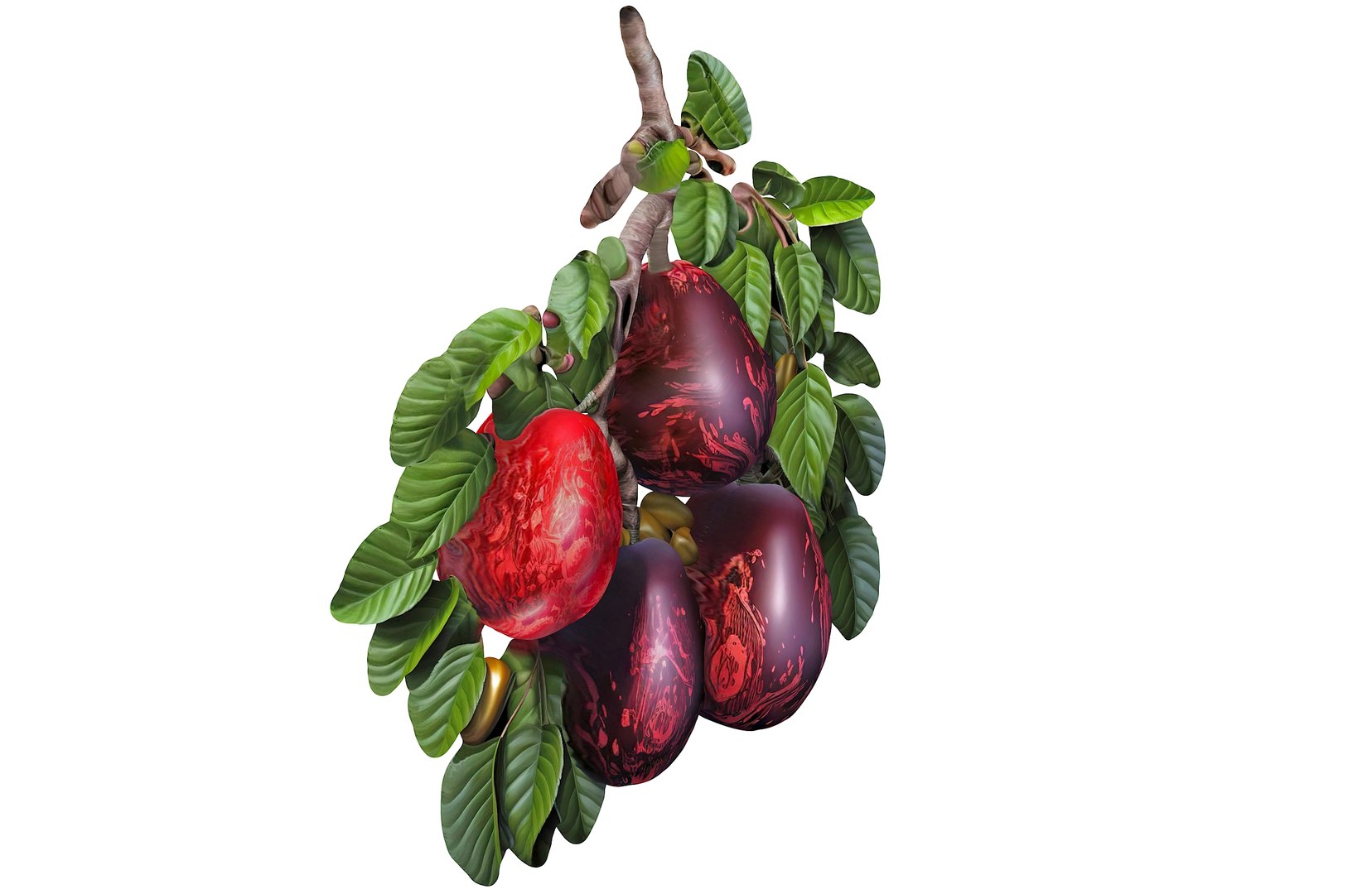Magical Fruits 3D model https://p.turbosquid.com/ts-thumb/7u/kjqIFP/56/70/jpg/1690880776/1920x1080/fit_q87/666dea55c3626d48bd1bf5a25c5767998cd7bdcb/70.jpg