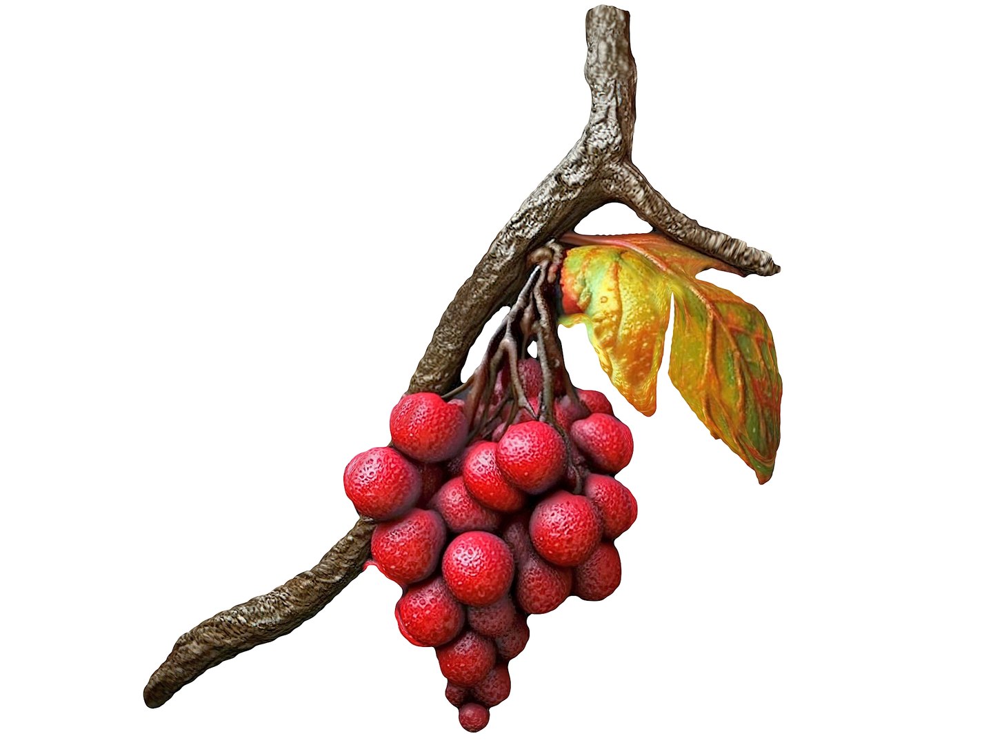 Magical Fruits 3D model https://p.turbosquid.com/ts-thumb/7u/kjqIFP/MW/111/jpg/1690880982/1920x1080/fit_q87/212fc2950f26d47e8f69e22852ccb0267273cdd2/111.jpg
